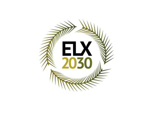 elx-la-ciutat-verda-y-pla-estrategic-elx-2030-nuevas-marcas-para-el-desarrollo-del-futuro-de-la-ciudad-6.png