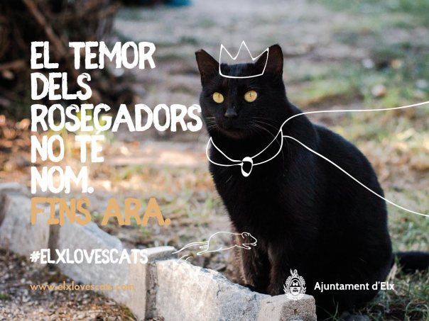 25488271_1690544860988402_4147624793267565226_o